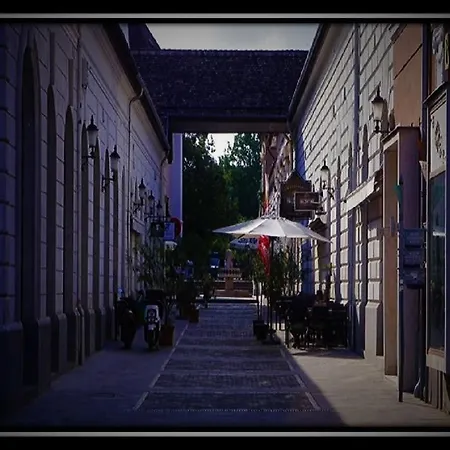 Ferienwohnung Happy Colours In Old Town Kecskemét Exterior foto